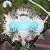 Pool & Spa
